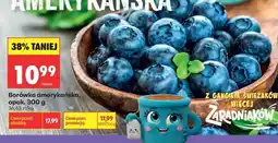 Biedronka Borówka amerykańska opak 300 g oferta