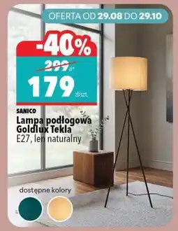 Biedronka Lampa podłogowa Goldlux Tekla oferta