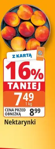 E.Leclerc Nektarynki oferta