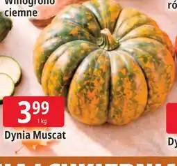 E.Leclerc Dynia Muscat oferta