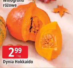 E.Leclerc Dynia Hokkaido oferta