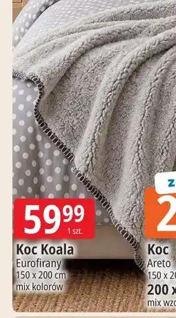 E.Leclerc Koc Koala Eurofirany oferta