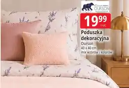 E.Leclerc Poduszka dekoracyjna Ourson oferta