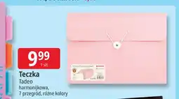 E.Leclerc Teczka harmonijkowa Tadeo oferta
