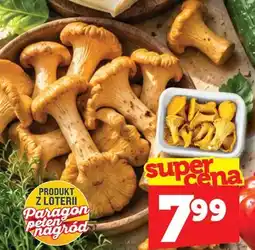 Topaz Kurki oferta