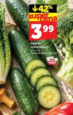 Topaz Ogórki szklarniowe oferta