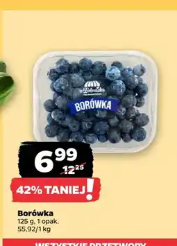 Netto Borówka oferta