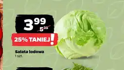 Netto Sałata lodowa oferta