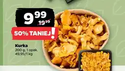 Netto Kurki oferta