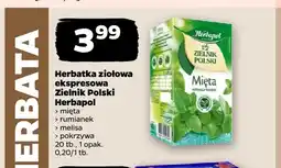 Netto Herbatka ziołowa ekspresowa Zielnik Polski Herbapol mięta oferta