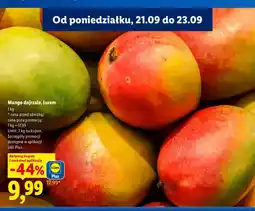 Lidl Mango dojrzałe luzem oferta