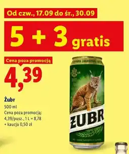 Lidl Piwo Żubr oferta