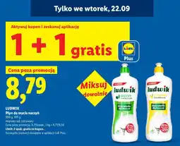 Lidl Płyn do mycia naczyń Ludwik oferta