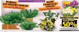 Topaz Podkłady pod wiązanki i doniczk oferta