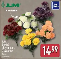ALDI Bukiet chryzantem oferta