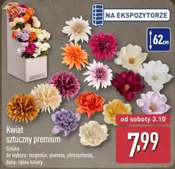 ALDI Kwiat sztuczny premium oferta