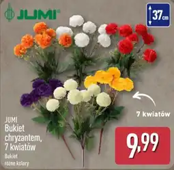 ALDI JUMI Bukiet chryzantem oferta