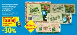 Lidl Jaja Złota Nioska oferta