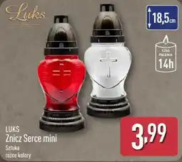 ALDI LUKS Znicz Serce mini oferta