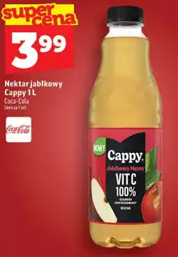 Topaz Nektar jabłkowy Cappy oferta