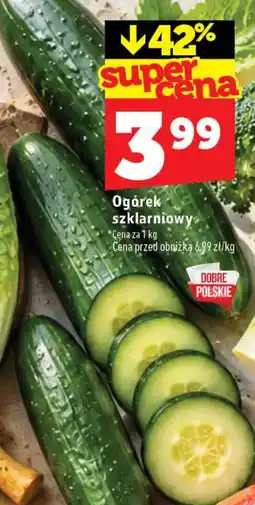 Topaz Ogórek szklarniowy oferta