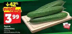 Topaz Ogórek szklarniowy oferta