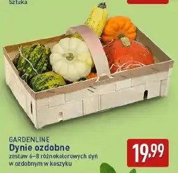 ALDI GARDENLINE Dynie ozdobne oferta