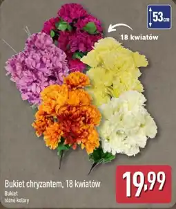 ALDI Bukiet chryzantem oferta