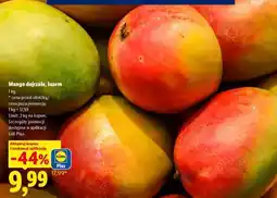 Lidl Mango dojrzałe, luzem oferta