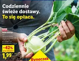 Lidl Polska kalarepa oferta