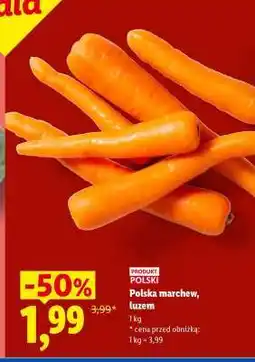 Lidl Polska marchew, luzem oferta