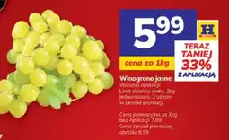 Hitpol Winogrono jasne oferta