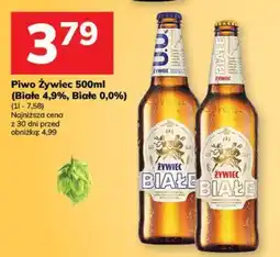 Hitpol Piwo Żywiec Białe oferta