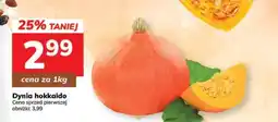 Hitpol Dynia hokkaido oferta