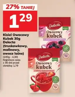 Hitpol Kisiel Owocowy Kubek Delecta oferta