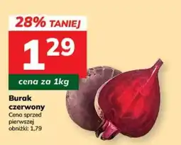 Hitpol Burak czerwony oferta