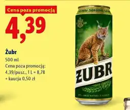 Lidl Żubr oferta