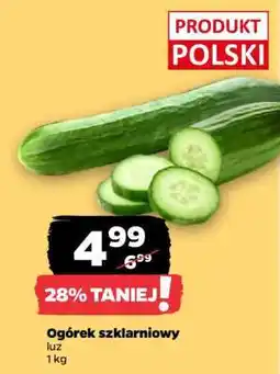Netto Ogórek szklarniowy oferta