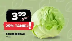 Netto Sałata lodowa oferta