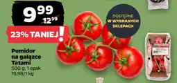 Netto Pomidor na gałązce Tatami oferta