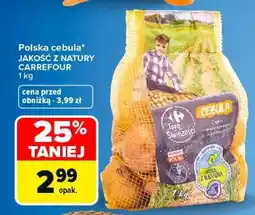 Carrefour Polska cebula oferta