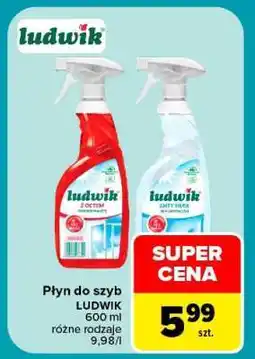 Carrefour LUDWIK oferta