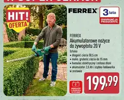 ALDI Akumulatorowe nożyce do żywopłotu Ferrex oferta