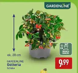 ALDI Golteria Gardenline oferta