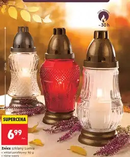 Biedronka Znicz szklany Lumia oferta