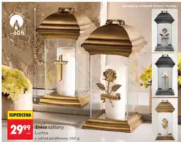 Biedronka Znicz szklany Lumia oferta