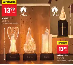 Biedronka Wkład LED Cortina oferta