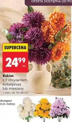 Biedronka Bukiet z 9 chryzantem, eukaliptusa lub mieszany oferta