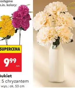 Biedronka Bukiet z 5 chryzantem oferta