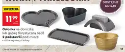 Biedronka Osłonka na doniczkę lub gąbkę florystyczną bądź 2 podstawki pod znicze oferta
